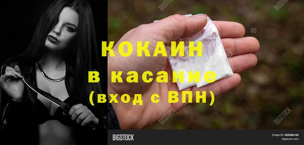 крисы Кодинск