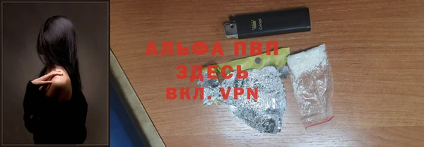 крисы Кодинск