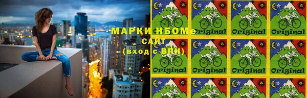 крисы Кодинск