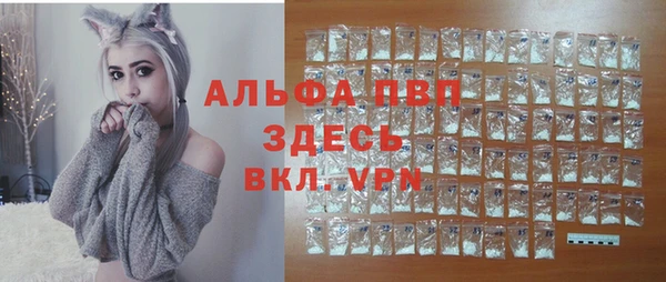 крисы Кодинск