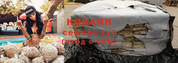 крисы Кодинск