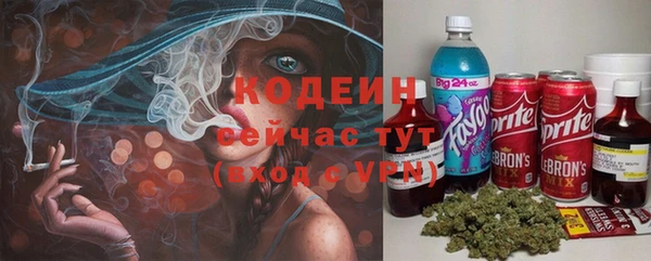 крисы Кодинск