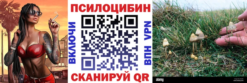 Купить где  Каневская  Псилоцибиновые грибы MAGIC MUSHROOMS 